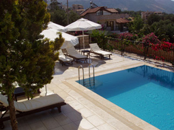 Pool & lower terrace