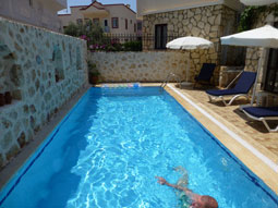 Pool & terrace