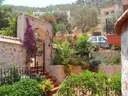 Entrance & garden